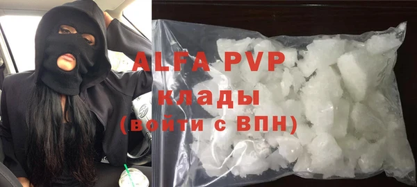 сатива Осинники