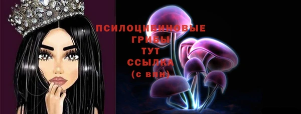 сатива Осинники