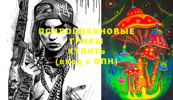 сатива Осинники